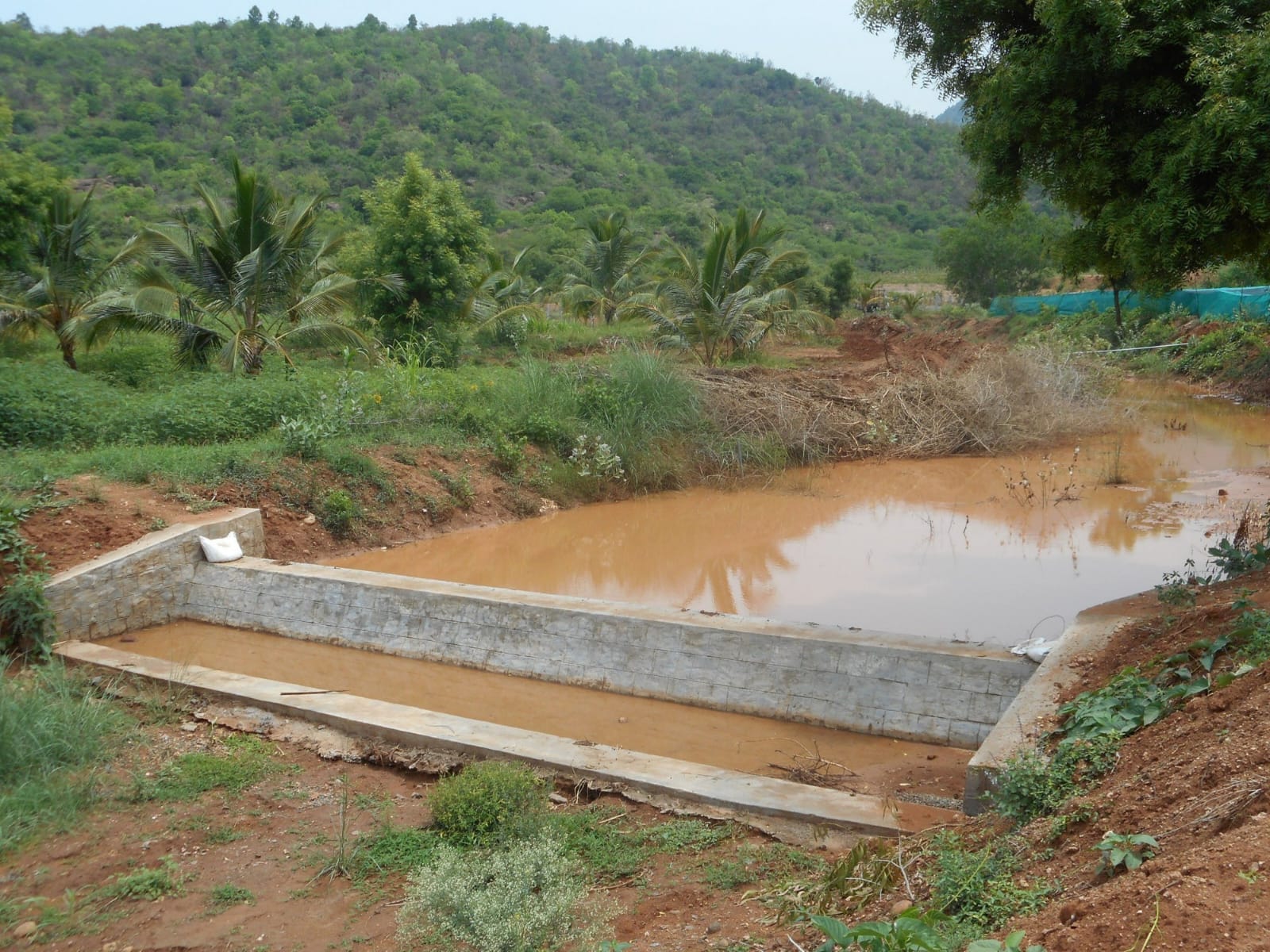 Check Dam Construction
